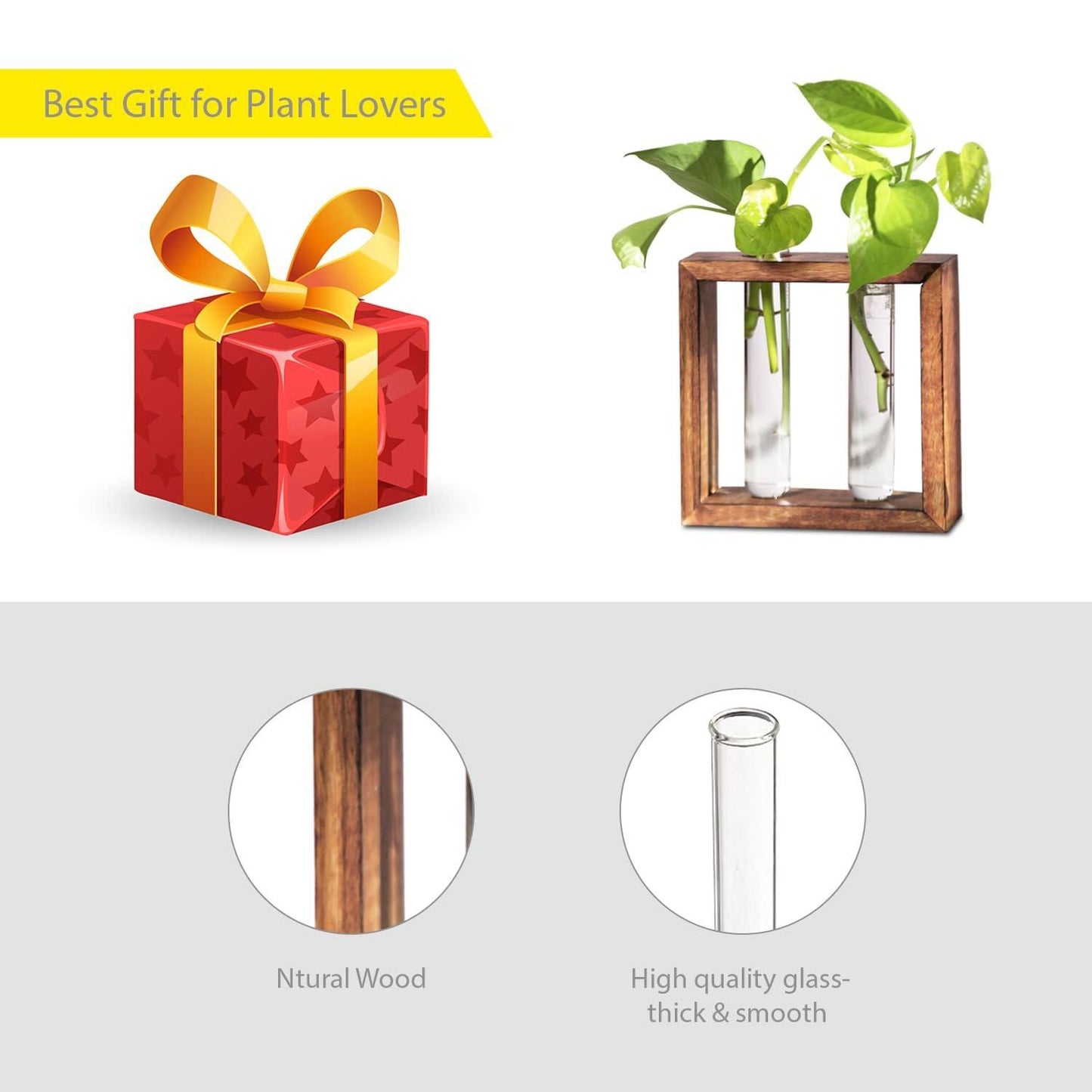 Glass Planter with Wooden Stand - Pass Ka Bazaar