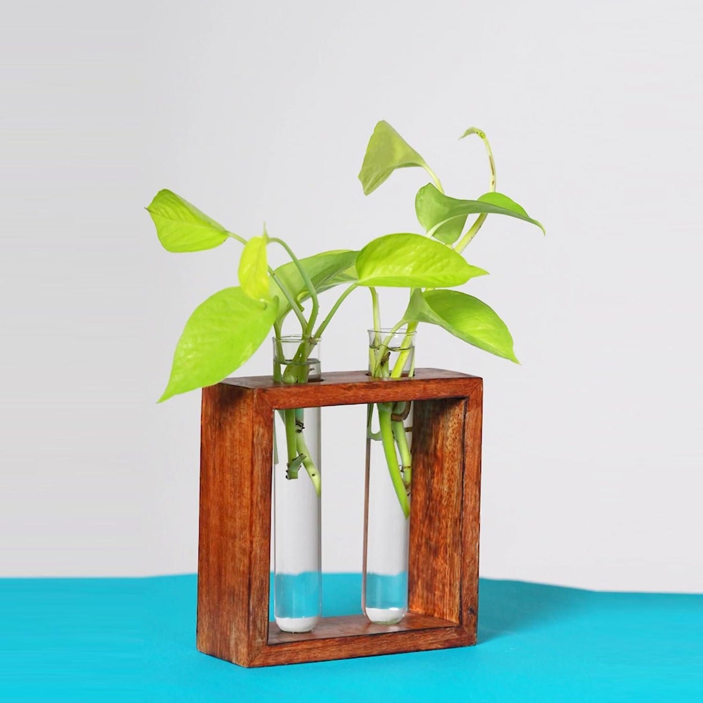 Glass Planter with Wooden Stand - Pass Ka Bazaar