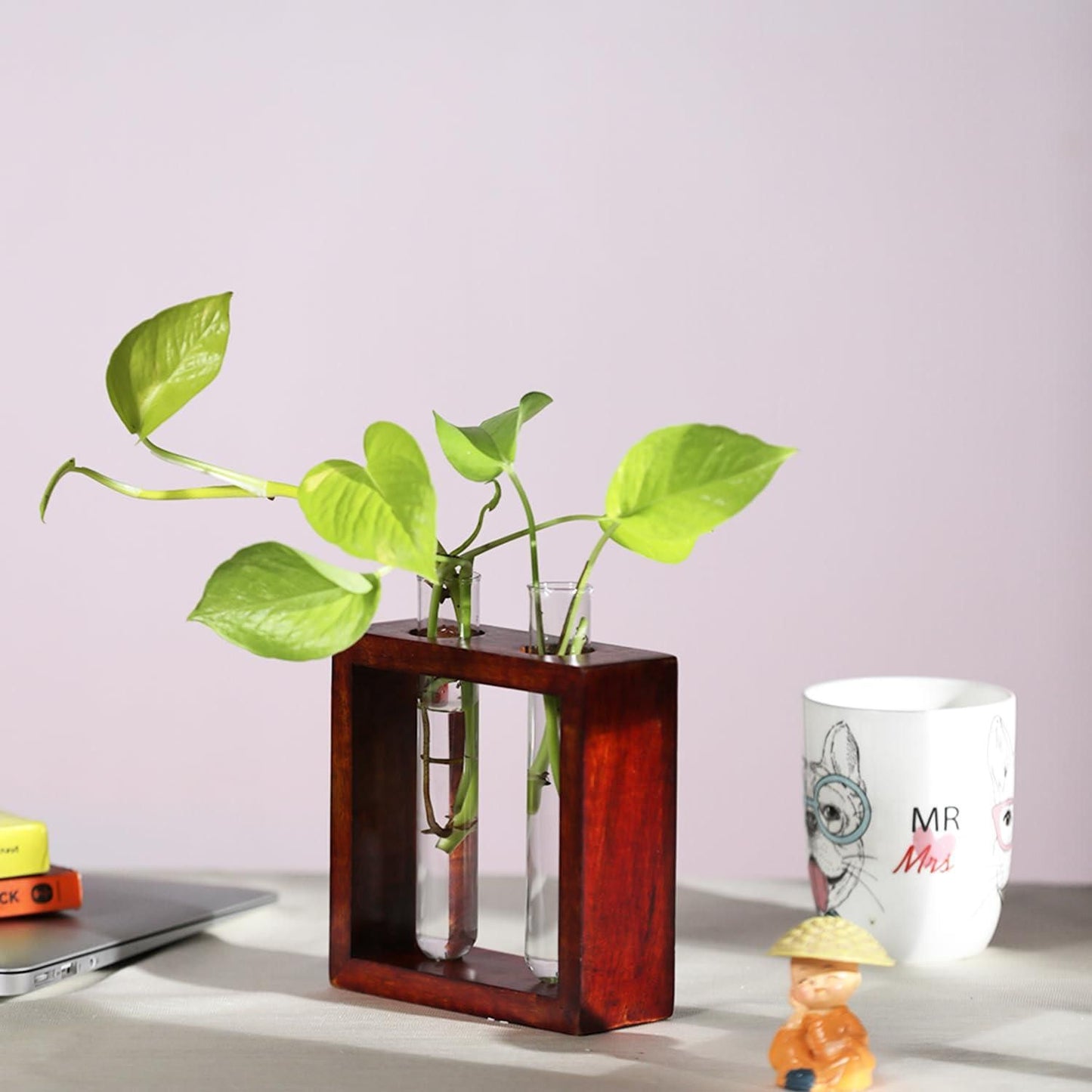 Glass Planter with Wooden Stand - Pass Ka Bazaar