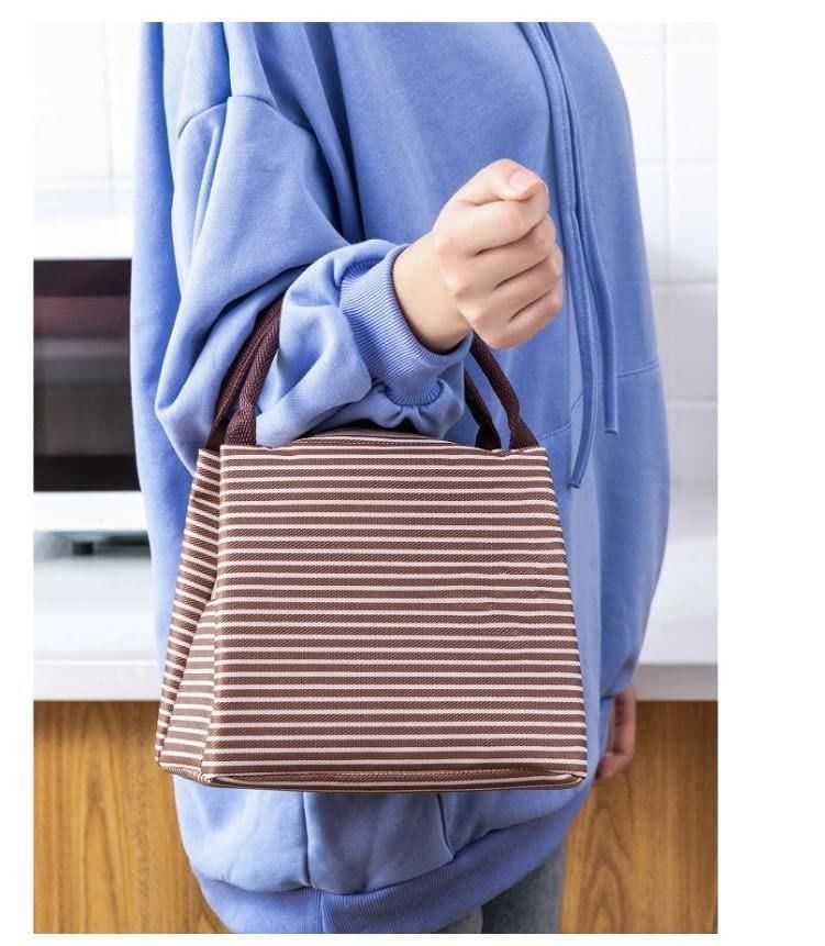 Waterproof Nylon Zipper Portable Oxford Lunch Bag for Women - Pass Ka Bazaar