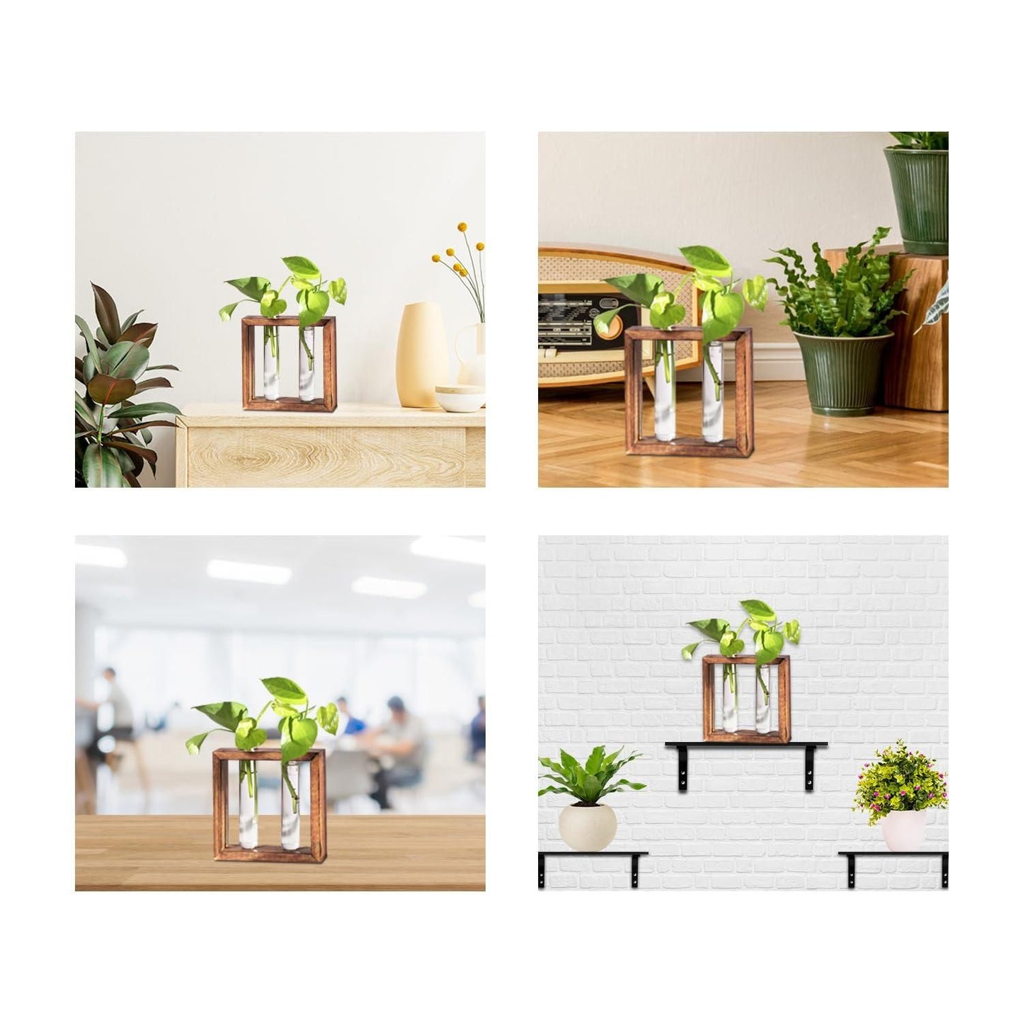 Glass Planter with Wooden Stand - Pass Ka Bazaar